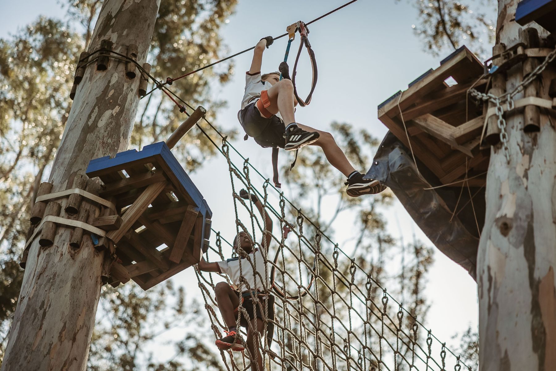 Go on a Treetop Adventure at Acrobranch Modderfontein Park